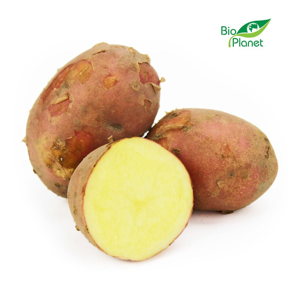 Ziemniaki Czerwone Młode Świeże BIO (Polska) (Około 2,00 kg) (2 szt x 1 kg)
